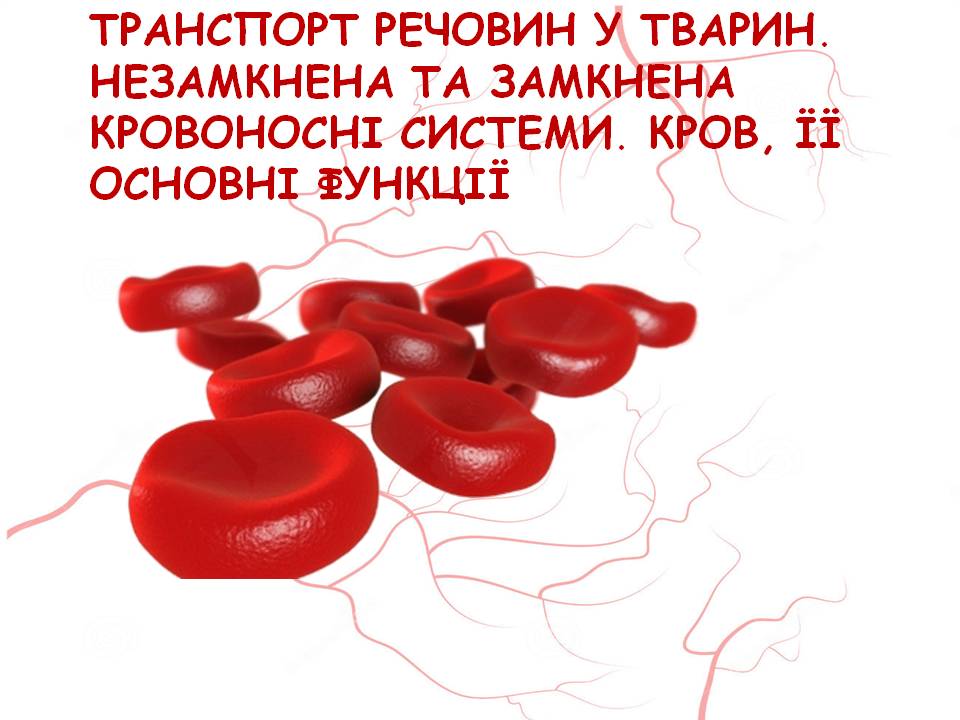 Кров 7клас by Pidgorodetska Olena - Ourboox.com