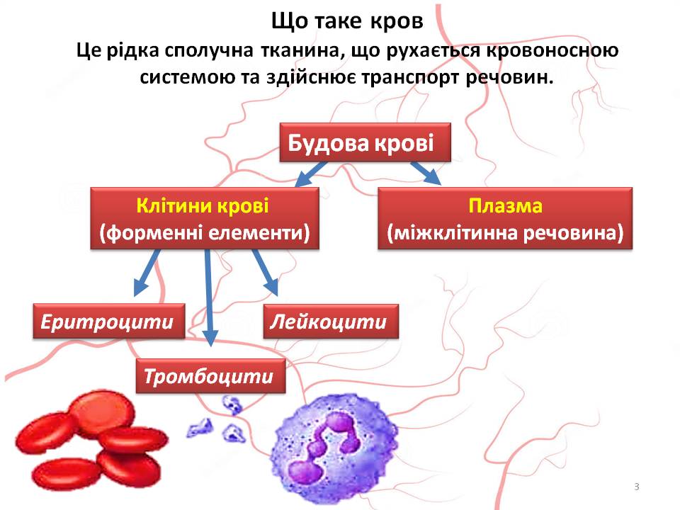 Кров 7клас by Pidgorodetska Olena - Ourboox.com