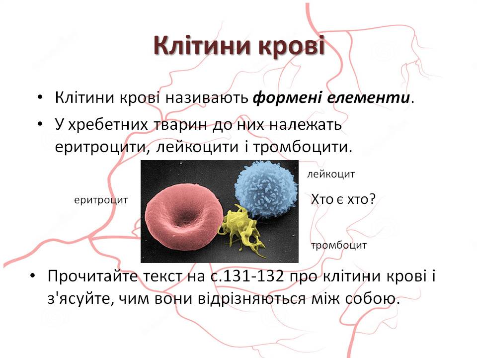 Кров 7клас by Pidgorodetska Olena - Ourboox.com