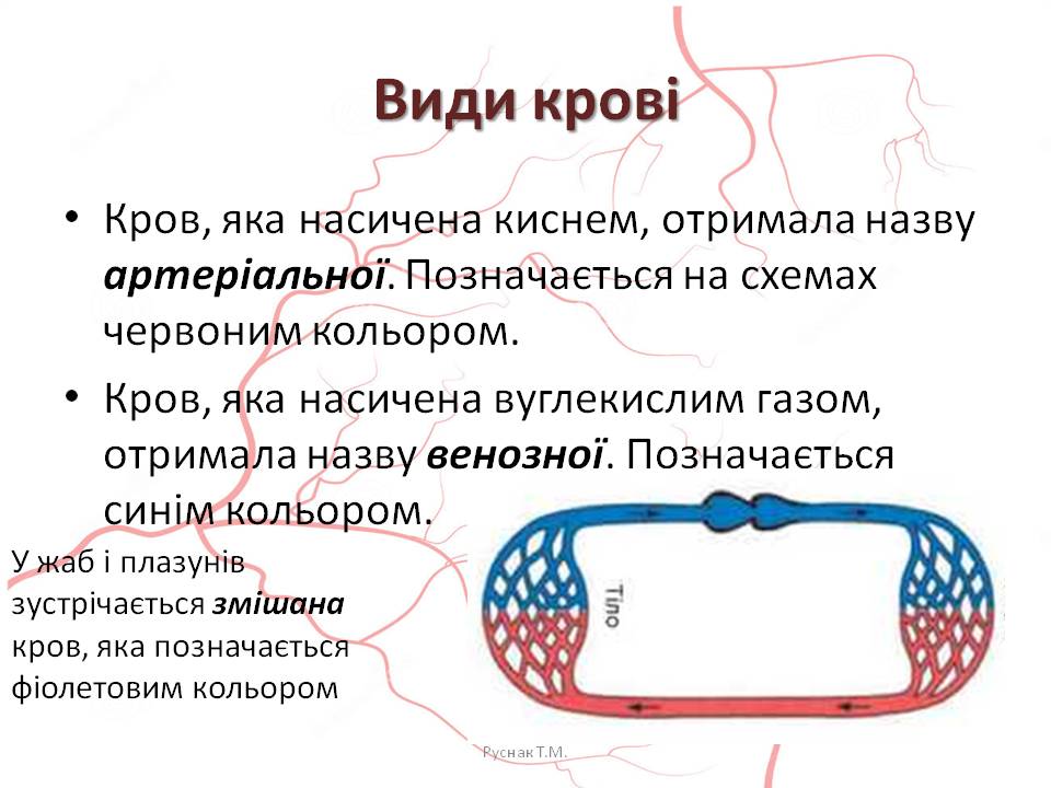 Кров 7клас by Pidgorodetska Olena - Ourboox.com