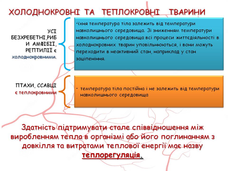 Кров 7клас by Pidgorodetska Olena - Ourboox.com