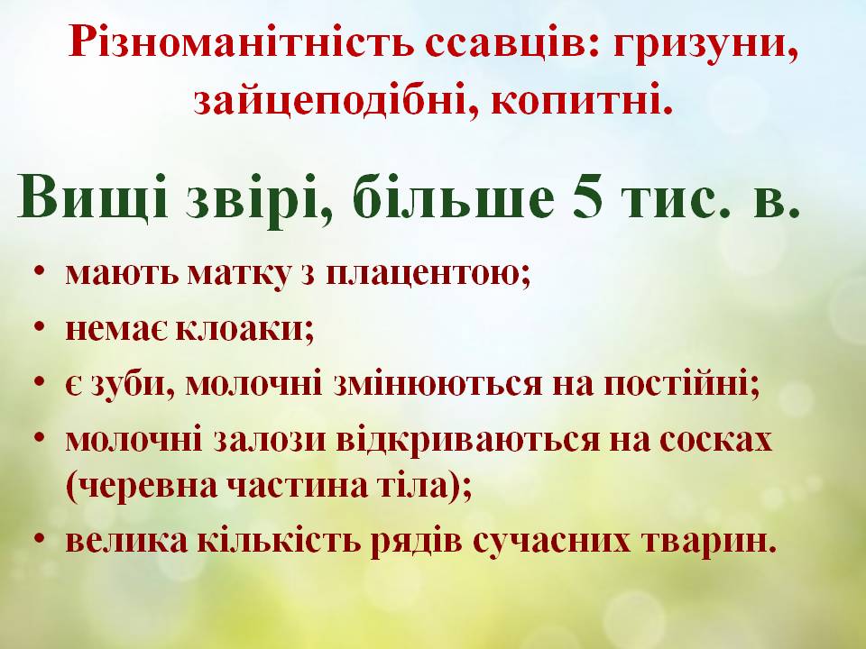 Різноманітність ссавців: гризуни, зайцеподібні, копитні. by Pidgorodetska Olena - Ourboox.com