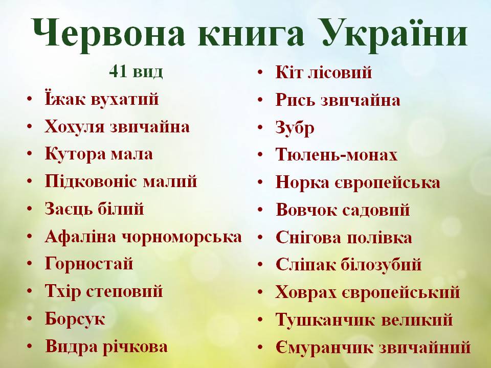 Різноманітність ссавців: хижі, китоподібні, примати. by Pidgorodetska Olena - Ourboox.com