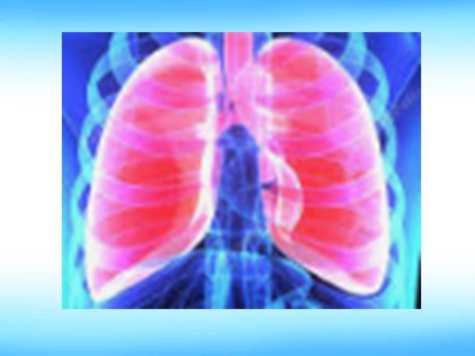 Дихальні рухи 8клас by Pidgorodetska Olena - Ourboox.com