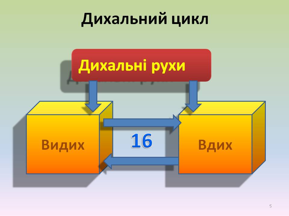 Дихальні рухи 8клас by Pidgorodetska Olena - Ourboox.com
