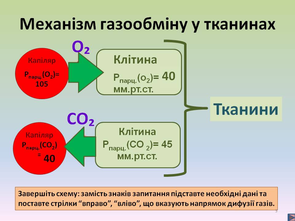 Дихальні рухи 8клас by Pidgorodetska Olena - Ourboox.com
