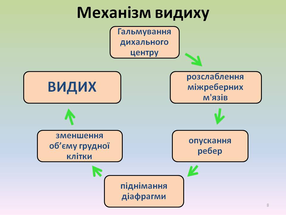 Дихальні рухи 8клас by Pidgorodetska Olena - Ourboox.com