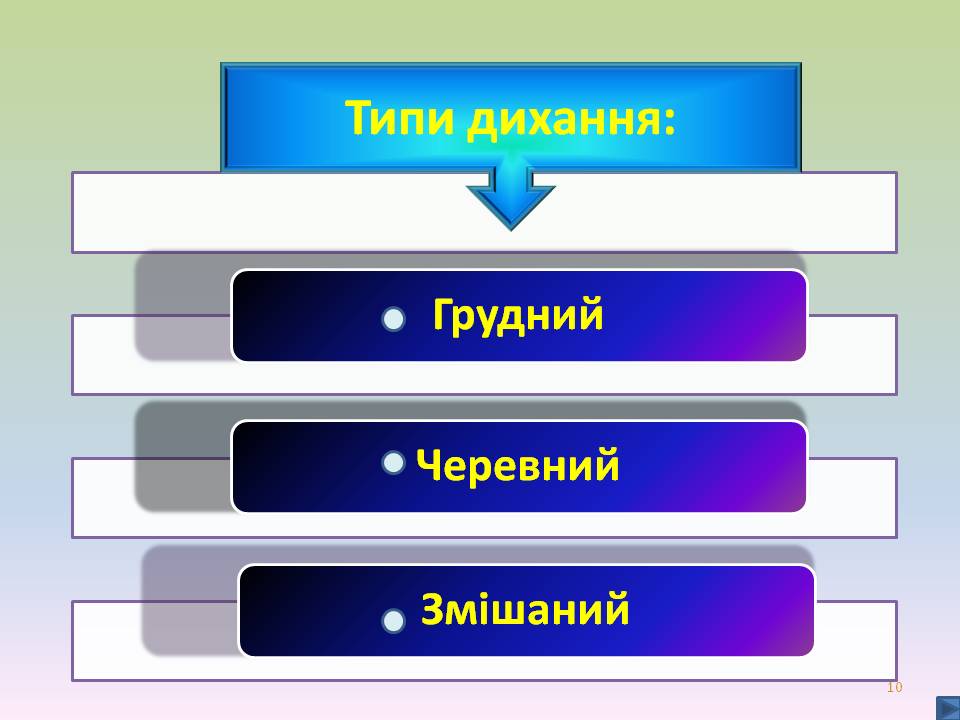 Дихальні рухи 8клас by Pidgorodetska Olena - Ourboox.com