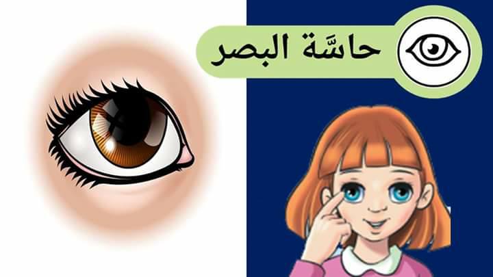 حواس الانسان by lama kablan - Ourboox.com