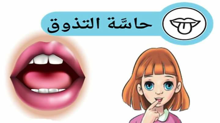 حواس الانسان by lama kablan - Ourboox.com