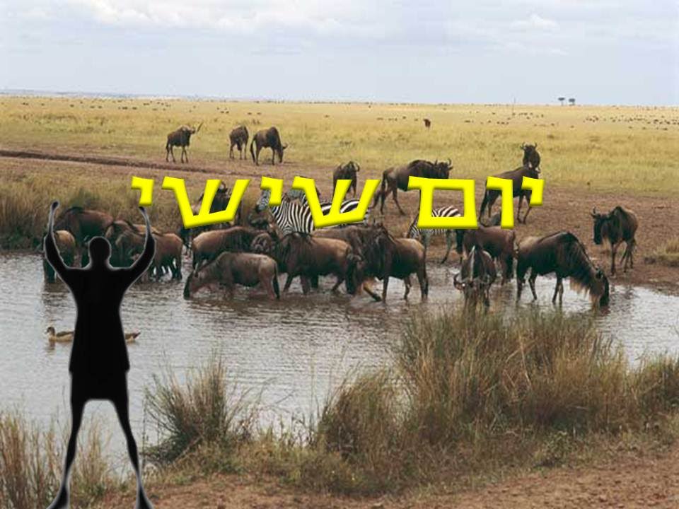 יומן הקודש by Eden - Ourboox.com