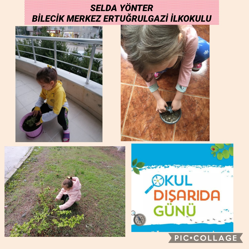 MY MATH WORLD 5 KASIM OKUL DIŞARIDA ETKİNLİĞİMİZ by TUĞÇE KARA - Ourboox.com