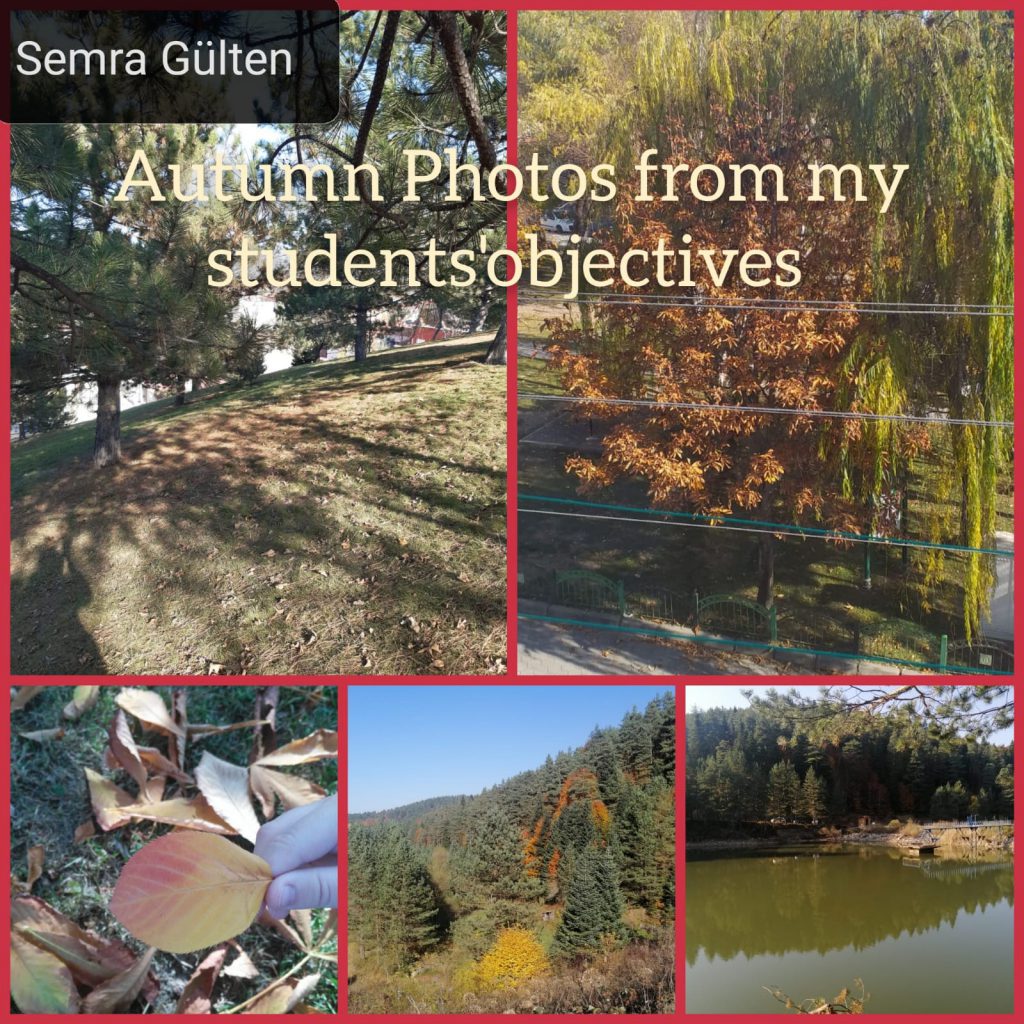 Nature Makes my day!!! by Ruxandra Florentina Badescu - Illustrated by SEVGI ŞEYDA ÖZKAN; İNCİ DEVECİOĞLU; BİRSEN EREN;BOZAN ÖZÇELİK; DIĞDEM GÖLPEK; ELENA CORINA ROGOVEANU; RUXANDRA FLORENTINA BĂDESCU; FATMA KOCABAY ; MEHTAP CENGİZ ; MERVE GÜRELI KIVRAK ; SEMRA GÜLTEN; YOVKA ZHECHEVA ; Özlem SEZER SULTAN - Ourboox.com
