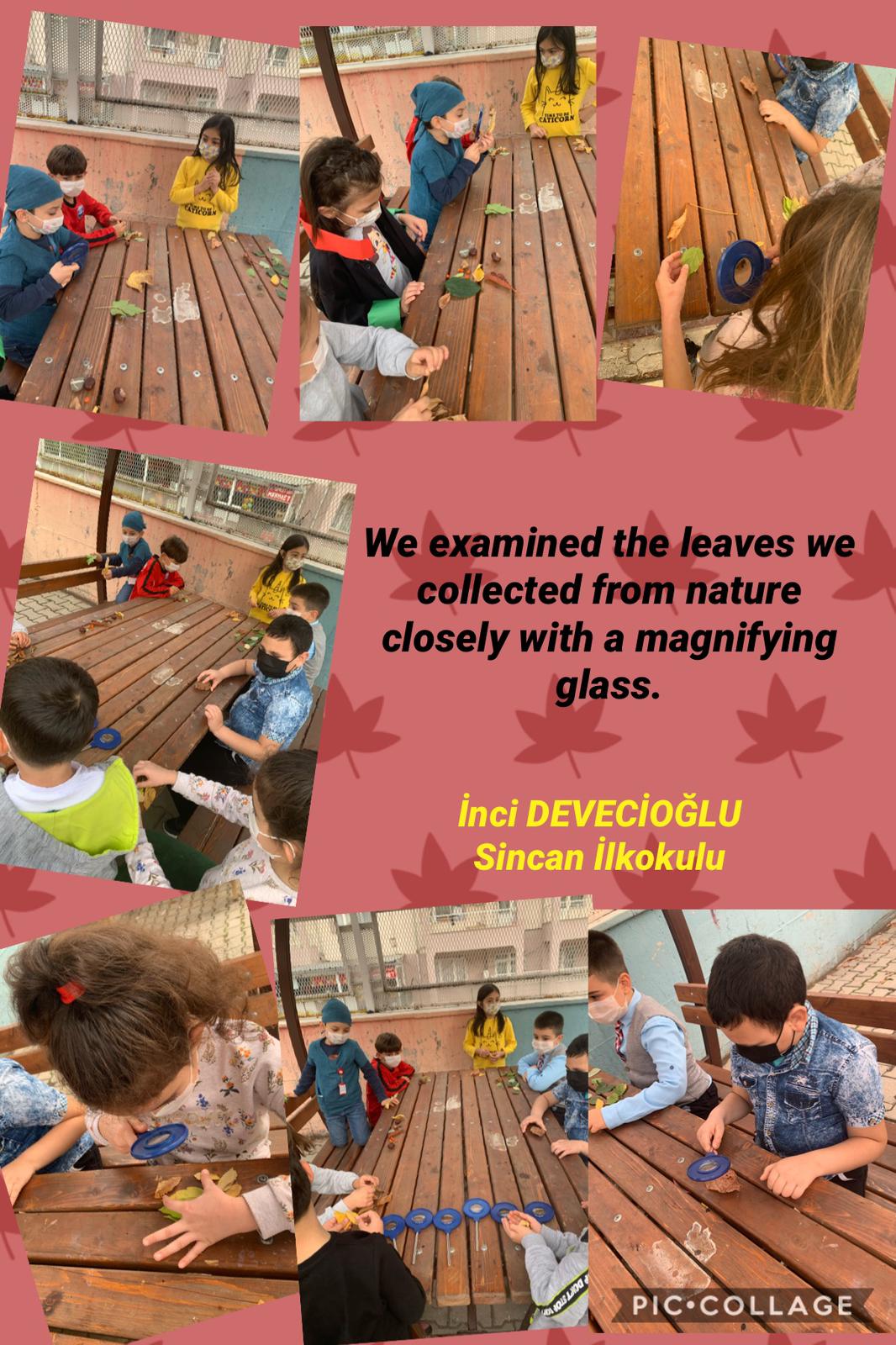 Nature Makes my day!!! by Ruxandra Florentina Badescu - Illustrated by SEVGI ŞEYDA ÖZKAN; İNCİ DEVECİOĞLU; BİRSEN EREN;BOZAN ÖZÇELİK; DIĞDEM GÖLPEK; ELENA CORINA ROGOVEANU; RUXANDRA FLORENTINA BĂDESCU; FATMA KOCABAY ; MEHTAP CENGİZ ; MERVE GÜRELI KIVRAK ; SEMRA GÜLTEN; YOVKA ZHECHEVA ; Özlem SEZER SULTAN - Ourboox.com