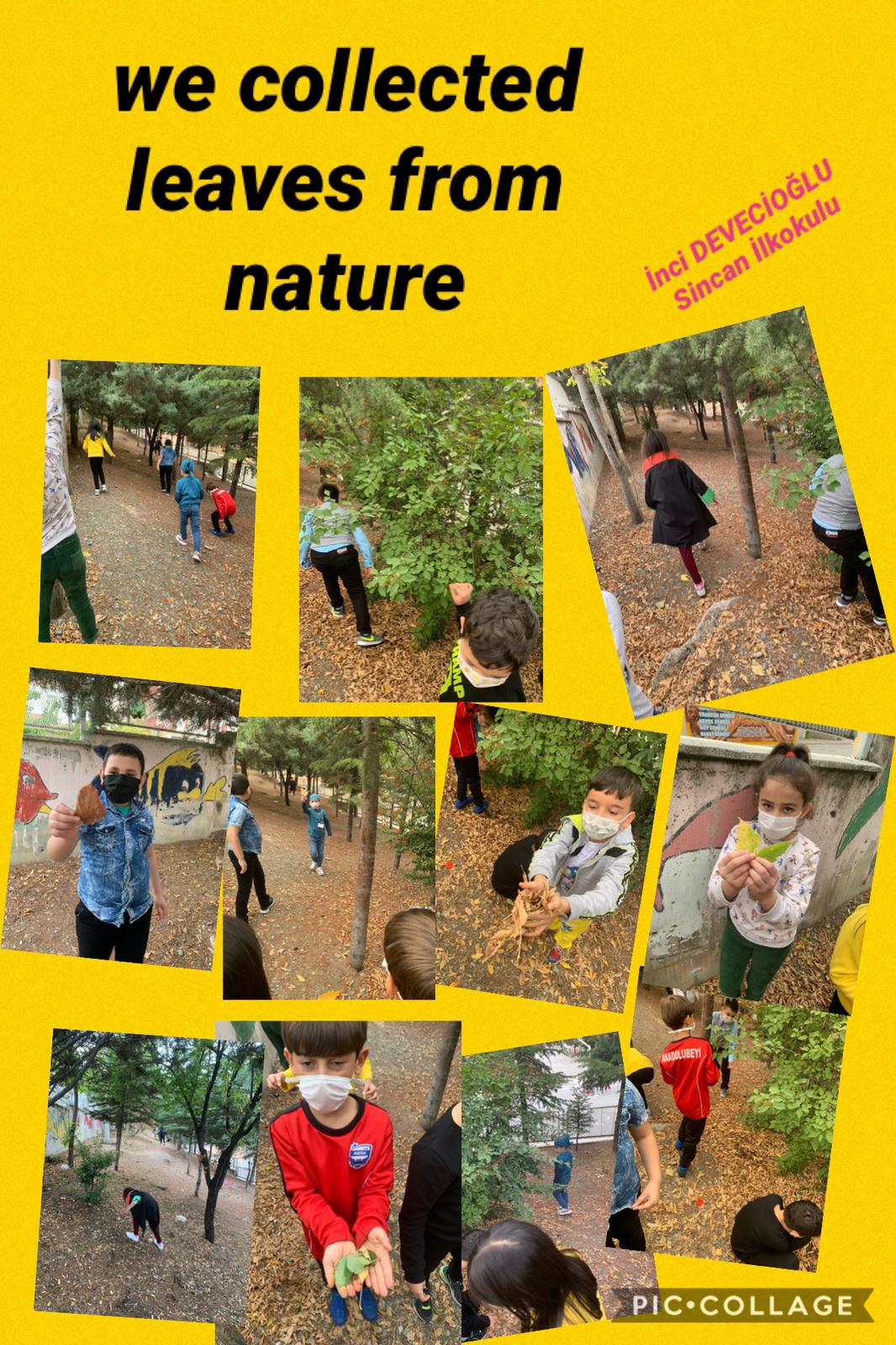 Nature Makes my day!!! by Ruxandra Florentina Badescu - Illustrated by SEVGI ŞEYDA ÖZKAN; İNCİ DEVECİOĞLU; BİRSEN EREN;BOZAN ÖZÇELİK; DIĞDEM GÖLPEK; ELENA CORINA ROGOVEANU; RUXANDRA FLORENTINA BĂDESCU; FATMA KOCABAY ; MEHTAP CENGİZ ; MERVE GÜRELI KIVRAK ; SEMRA GÜLTEN; YOVKA ZHECHEVA ; Özlem SEZER SULTAN - Ourboox.com