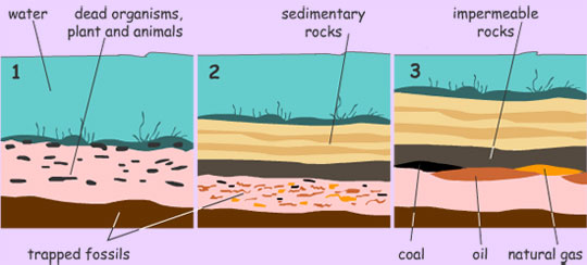 Overuse of Fossil Fuels by Jaxson Wagner - Ourboox.com
