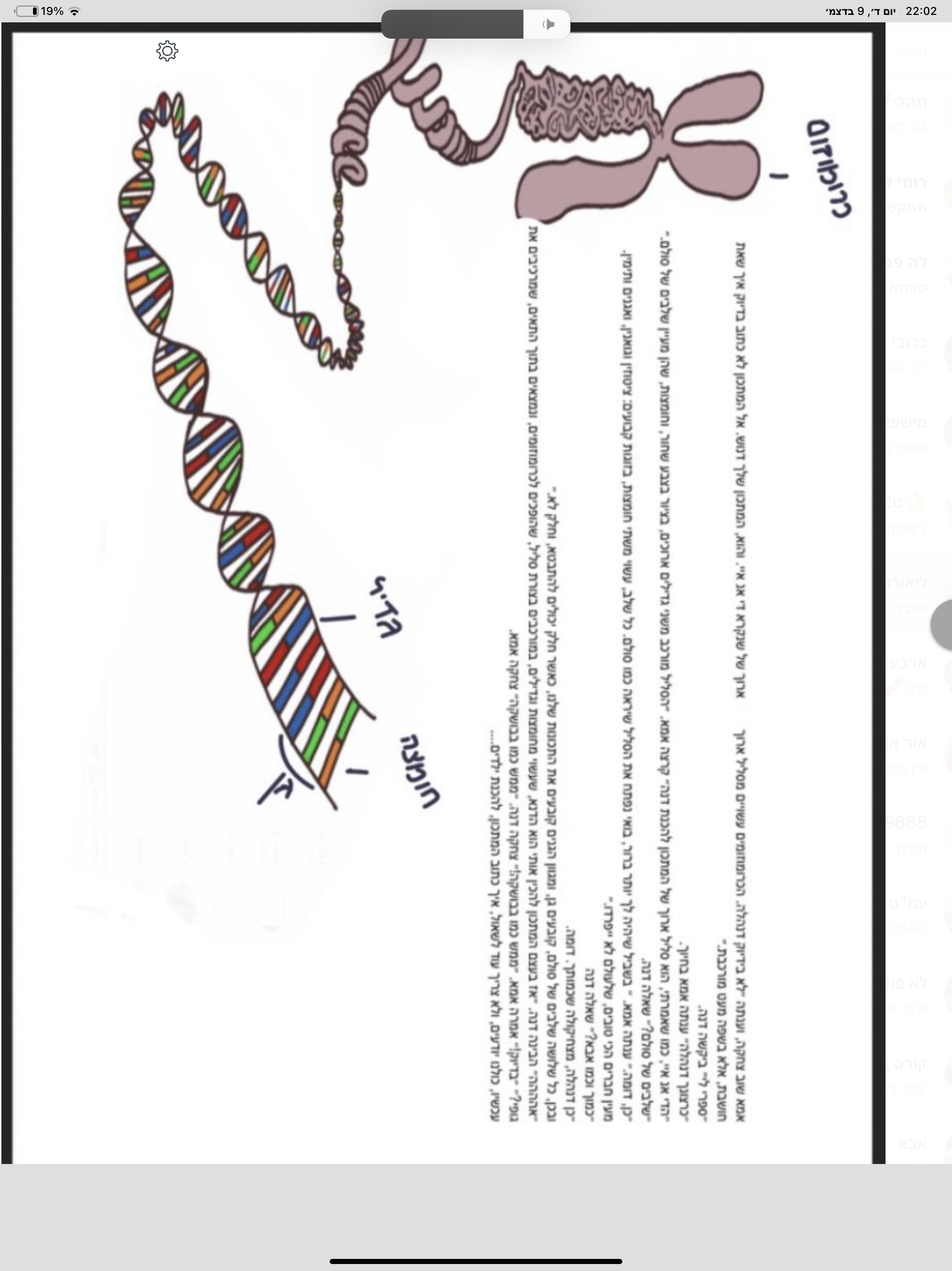 מתכון להכנת ילדים by Krupik Talia - Illustrated by טליה ותהל - Ourboox.com