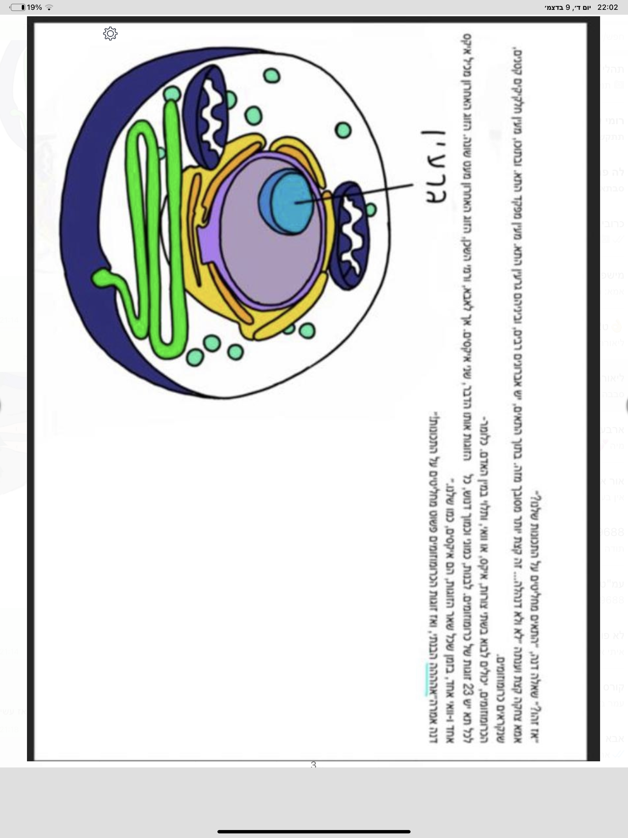 מתכון להכנת ילדים by Krupik Talia - Illustrated by טליה ותהל - Ourboox.com