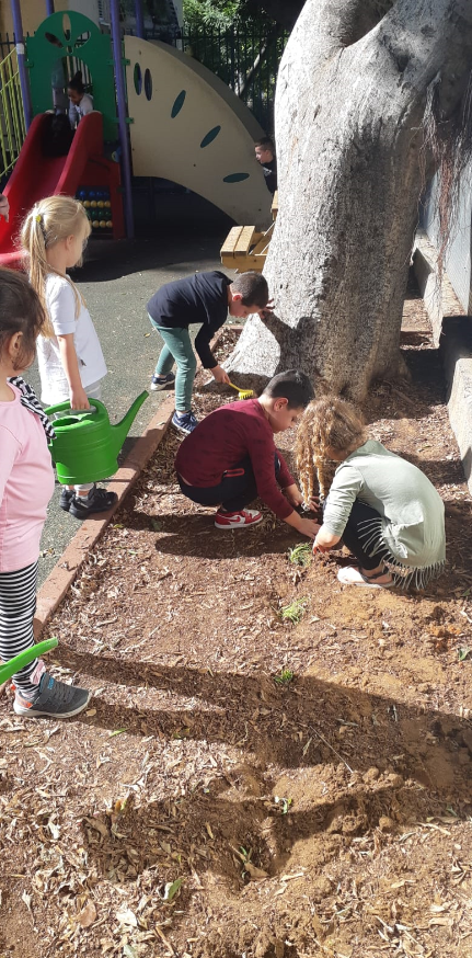 למידה חווייתית בגן שונית by Ella simoni - Illustrated by אלה סימוני - Ourboox.com