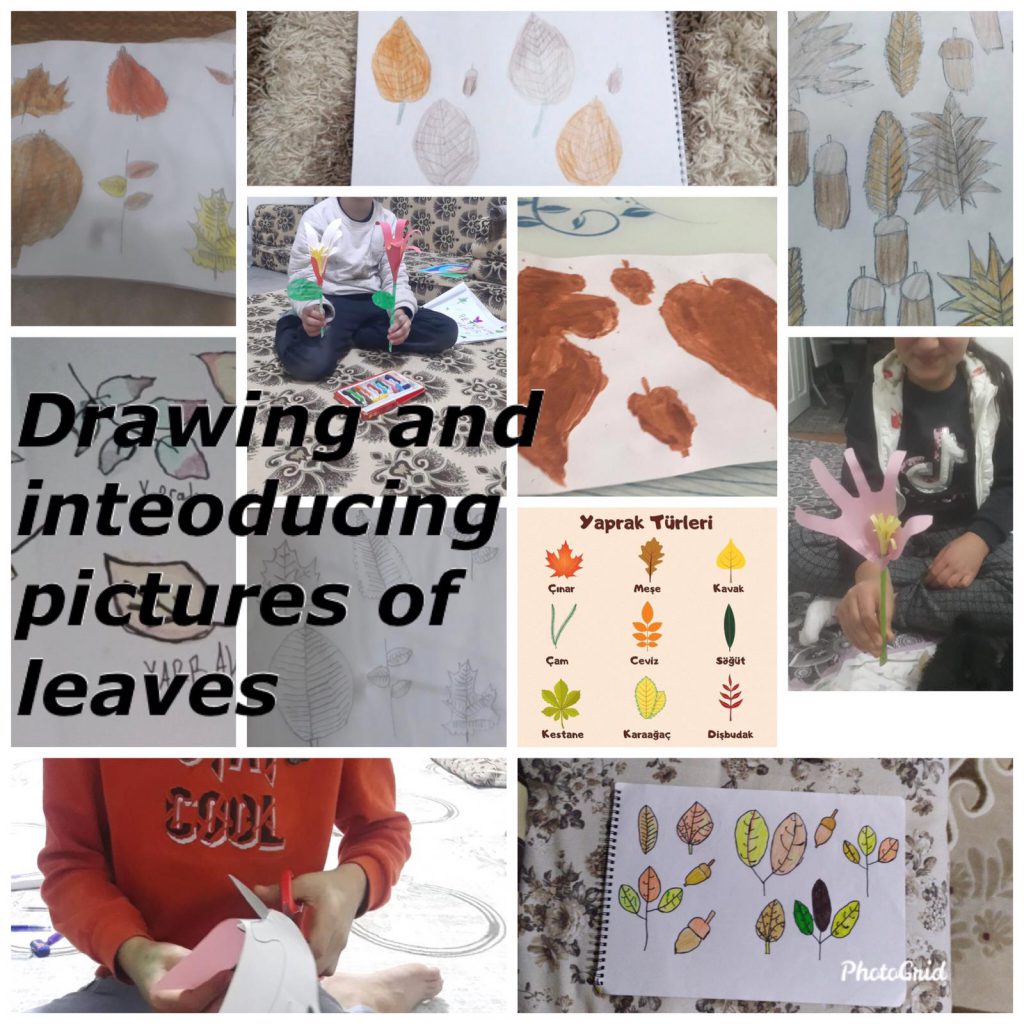 Nature Makes my day!!! by Ruxandra Florentina Badescu - Illustrated by SEVGI ŞEYDA ÖZKAN; İNCİ DEVECİOĞLU; BİRSEN EREN;BOZAN ÖZÇELİK; DIĞDEM GÖLPEK; ELENA CORINA ROGOVEANU; RUXANDRA FLORENTINA BĂDESCU; FATMA KOCABAY ; MEHTAP CENGİZ ; MERVE GÜRELI KIVRAK ; SEMRA GÜLTEN; YOVKA ZHECHEVA ; Özlem SEZER SULTAN - Ourboox.com