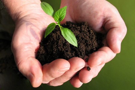 AGRICOLTURA SOSTENIBILE by Vittorio liberti - Ourboox.com