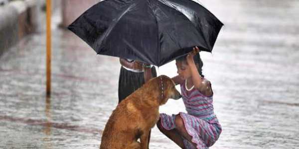 Humanost by Iva Bukilic - Ourboox.com