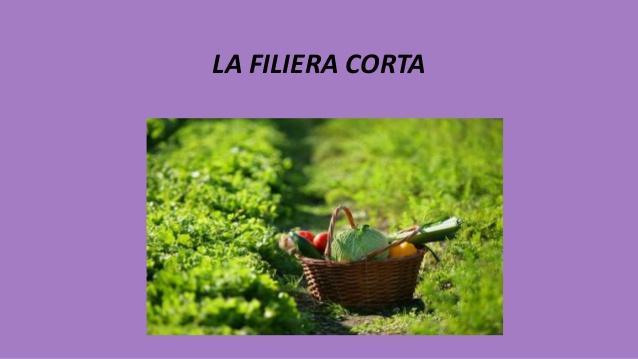 EDUCAZIONE CIVICA by Victoria - Ourboox.com