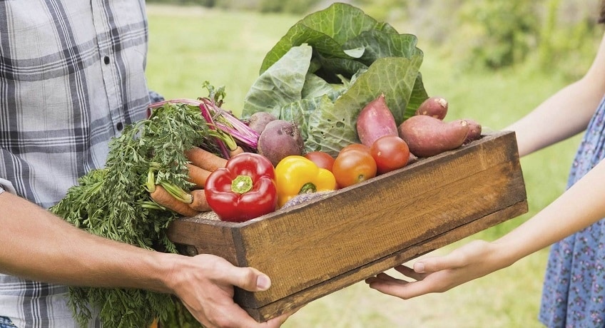 EDUCAZIONE CIVICA by Victoria - Ourboox.com