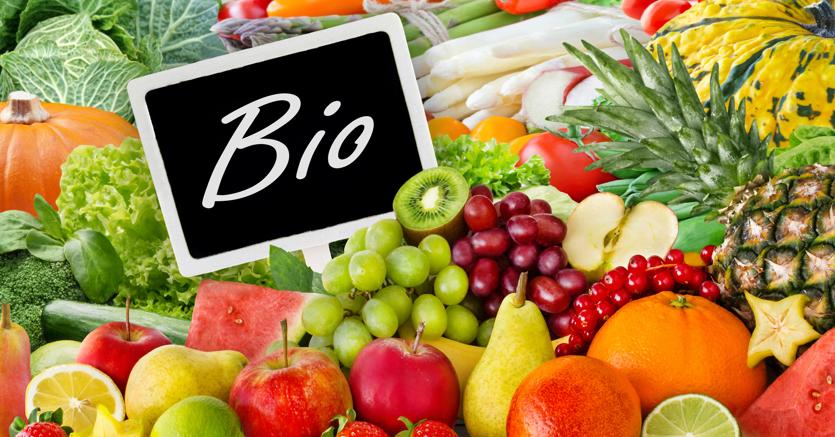 EDUCAZIONE CIVICA by Victoria - Ourboox.com