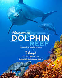 THE Dolphin – الدولفين by Marea Amara - Ourboox.com