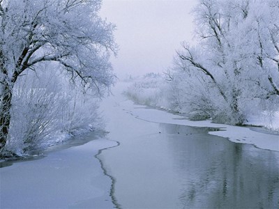 Бяла зима by STEFKA PENCHEVA - Ourboox.com