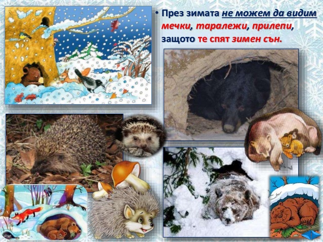 Бяла зима by STEFKA PENCHEVA - Ourboox.com