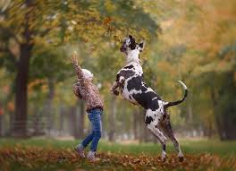 המשפחה שלי by Lior Nadav - Ourboox.com