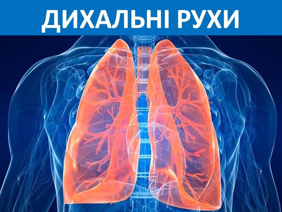 Дихальні рухи 8клас by Pidgorodetska Olena - Ourboox.com