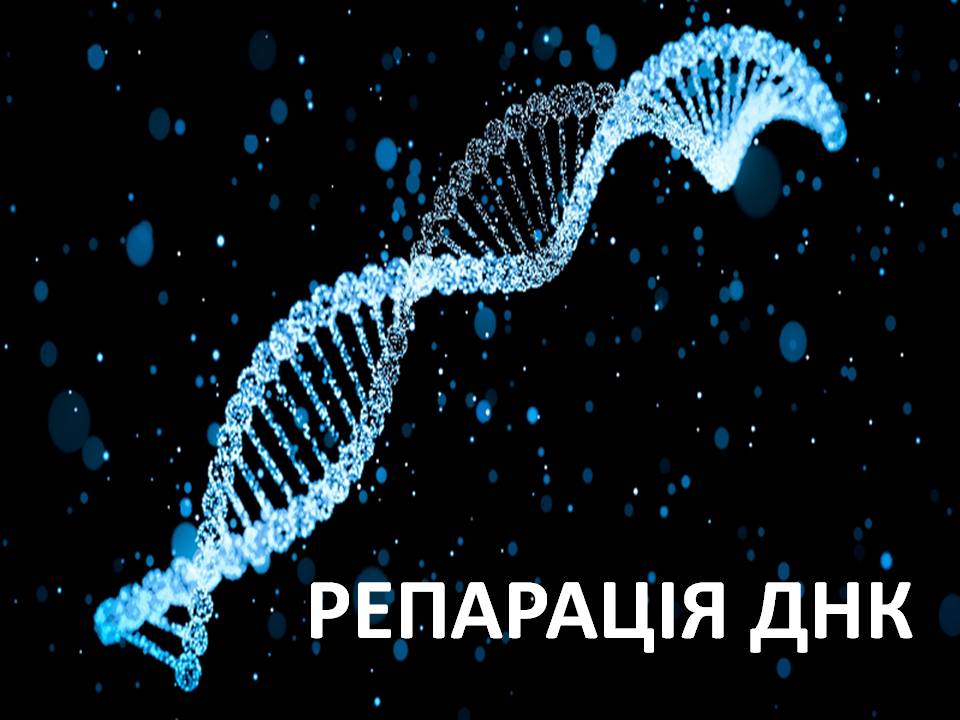 Репарація by Pidgorodetska Olena - Ourboox.com