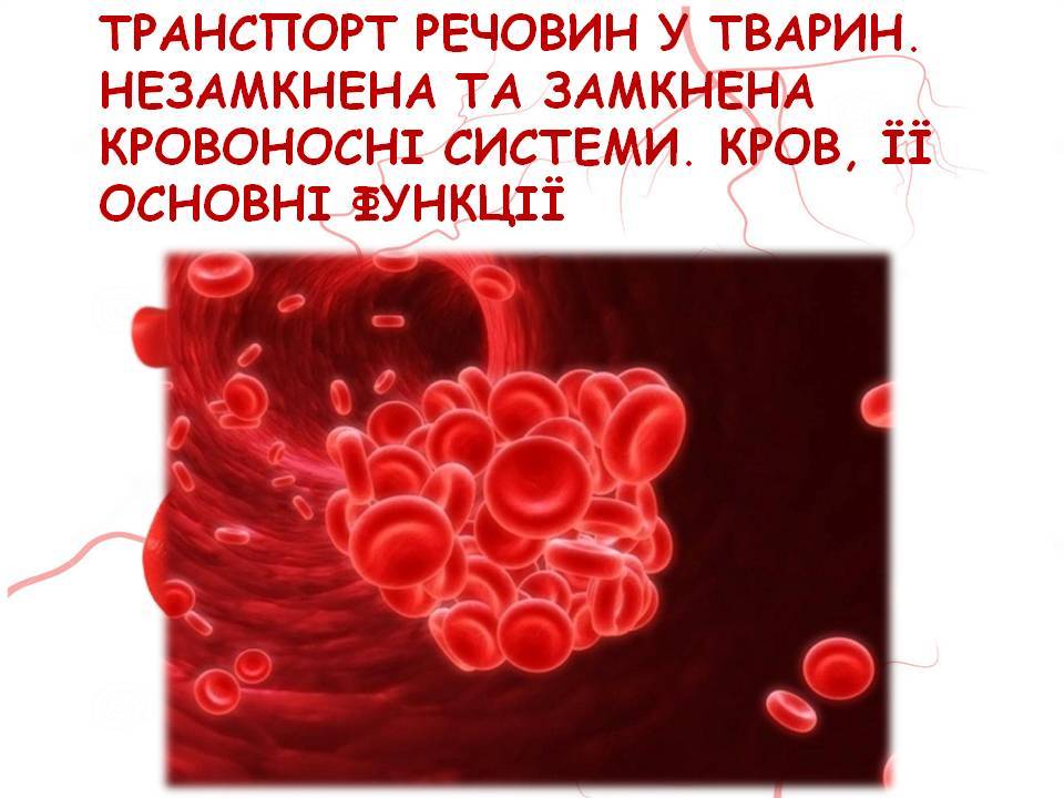 Кров 7клас by Pidgorodetska Olena - Ourboox.com