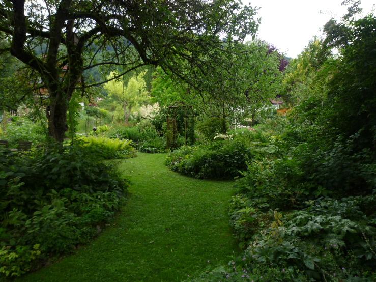 OMICIDIO NELLA SCUOLA CFP by Alessio roca - Ourboox.com