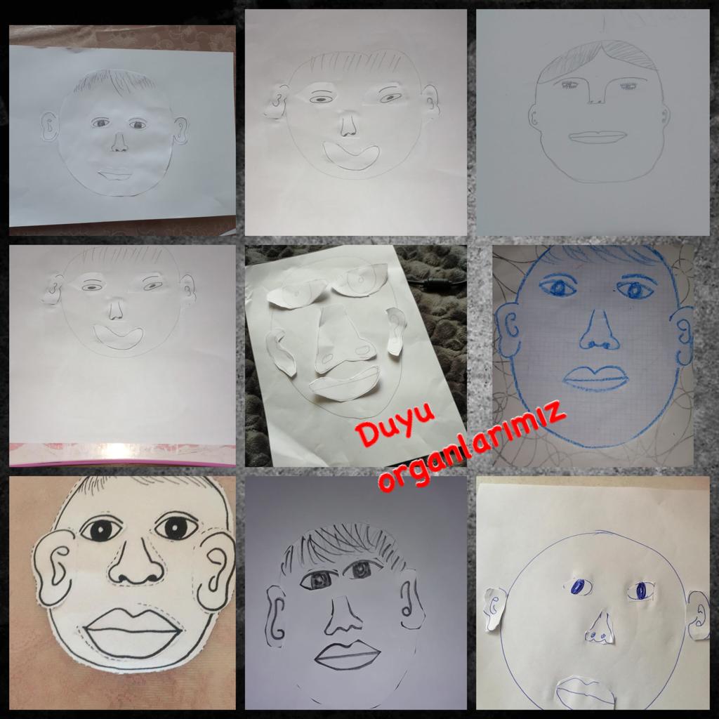 ÇALIŞKAN ARILAR SINIFI CANLI DERS ETKİNLİKLERİ by TUĞÇE KARA - Ourboox.com