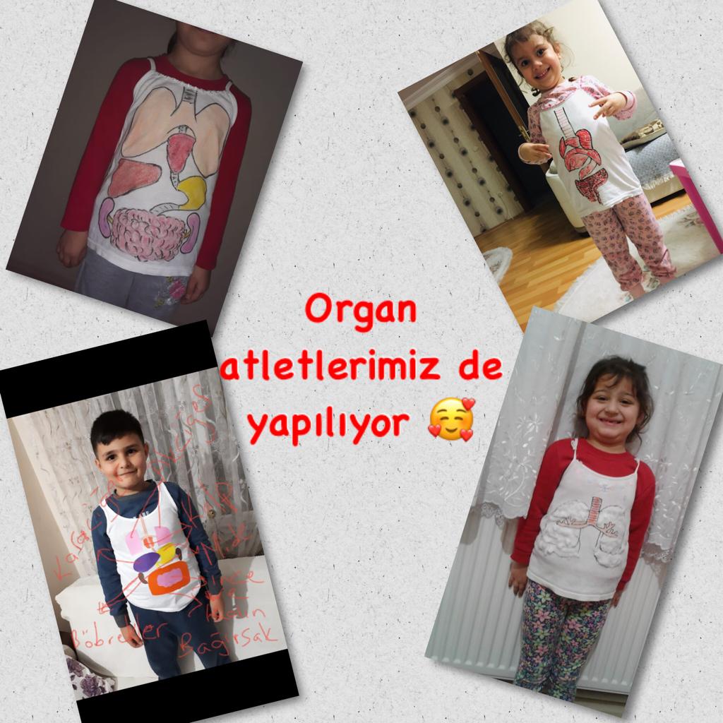 ÇALIŞKAN ARILAR SINIFI CANLI DERS ETKİNLİKLERİ by TUĞÇE KARA - Ourboox.com