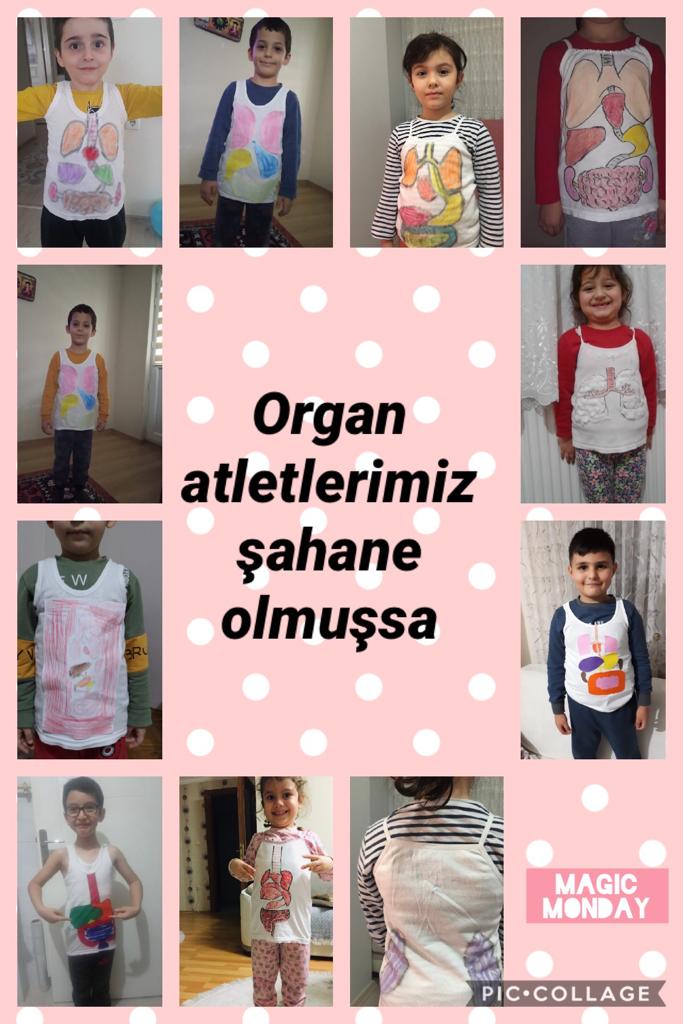 ÇALIŞKAN ARILAR SINIFI CANLI DERS ETKİNLİKLERİ by TUĞÇE KARA - Ourboox.com