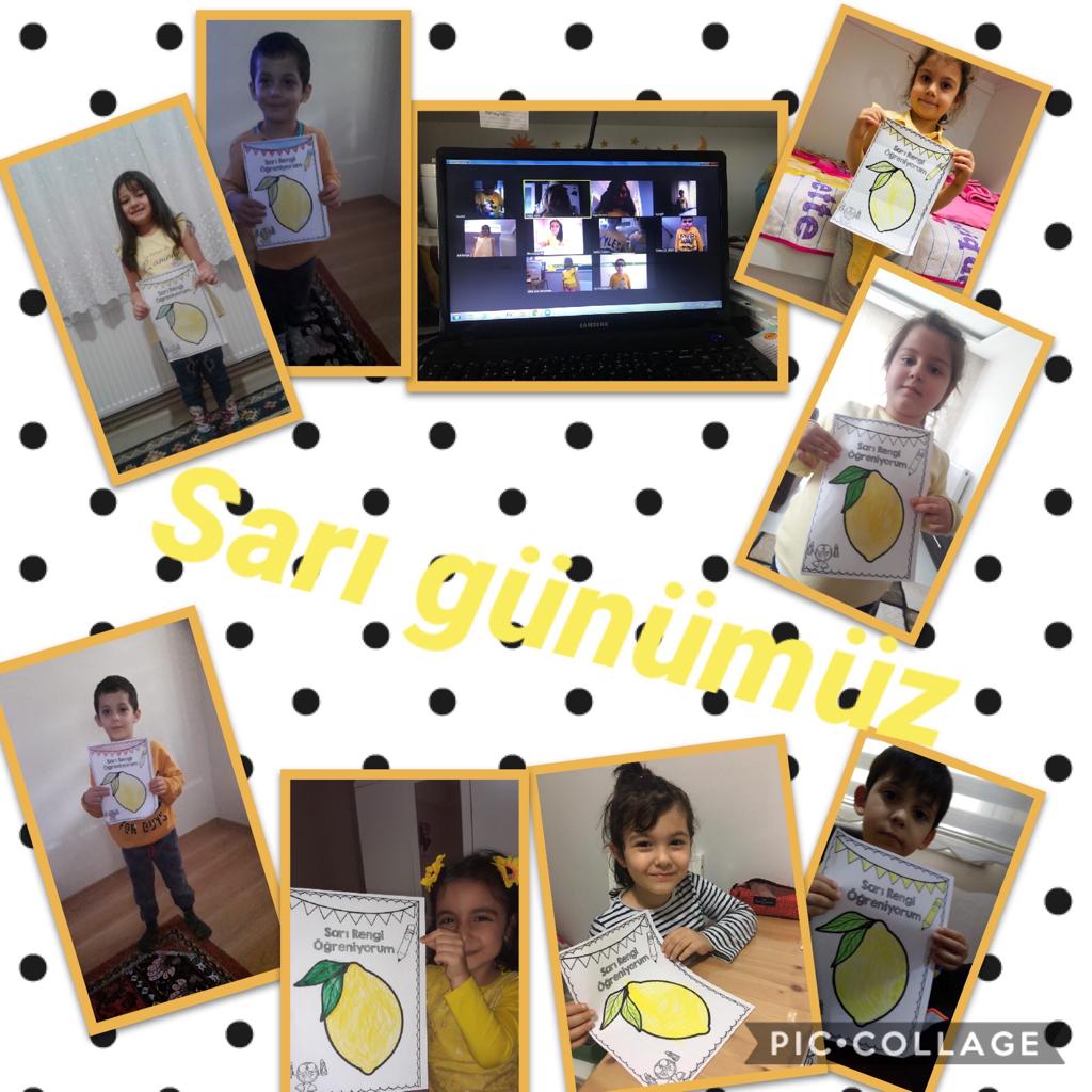 ÇALIŞKAN ARILAR SINIFI CANLI DERS ETKİNLİKLERİ by TUĞÇE KARA - Ourboox.com