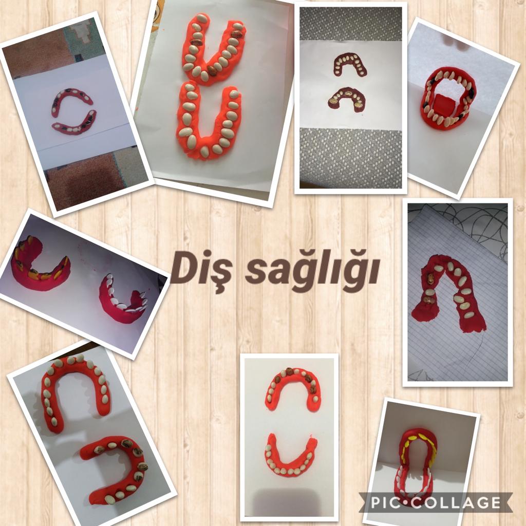 ÇALIŞKAN ARILAR SINIFI CANLI DERS ETKİNLİKLERİ by TUĞÇE KARA - Ourboox.com