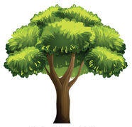 עץ האלון by khaled - Ourboox.com