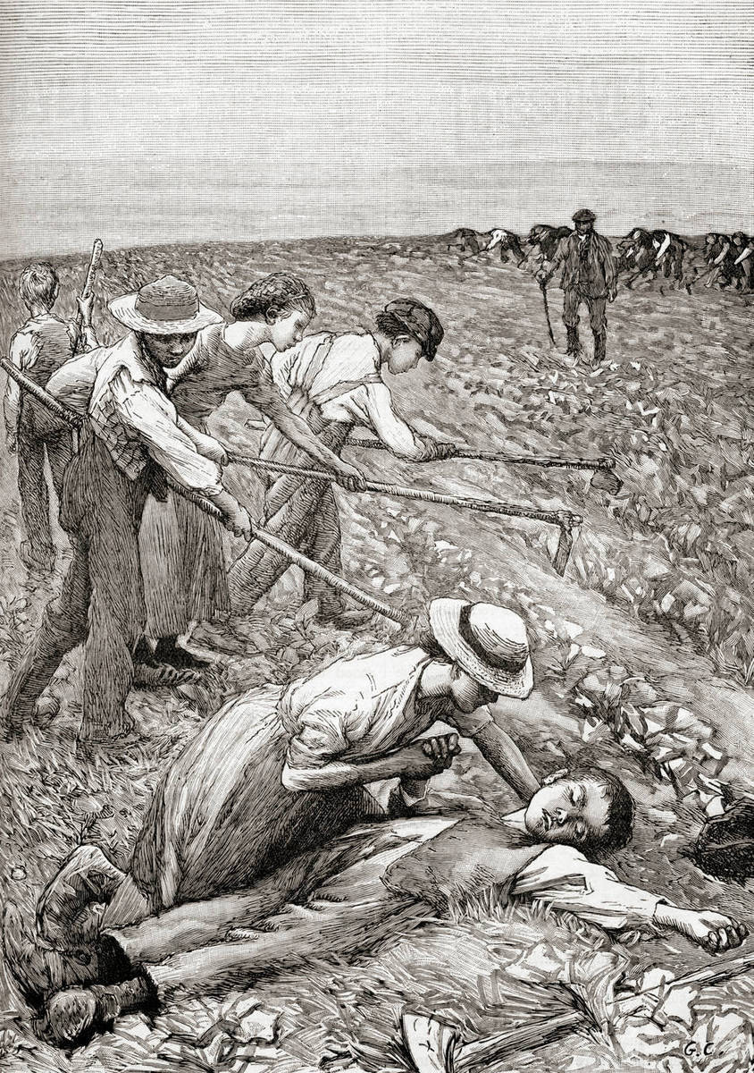 ארץ המופלאות by khaled - Ourboox.com