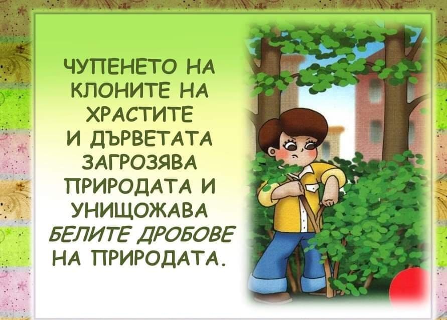 Правила на поведение в града by Emilia Kaneva - Ourboox.com