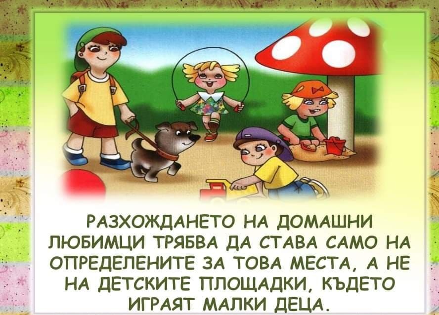 Правила на поведение в града by Emilia Kaneva - Ourboox.com