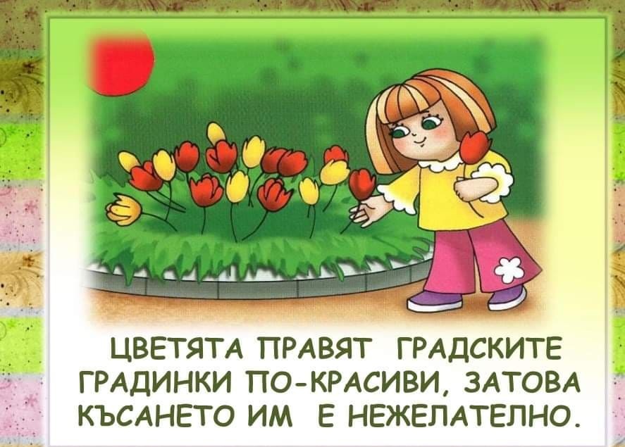 Правила на поведение в града by Emilia Kaneva - Ourboox.com