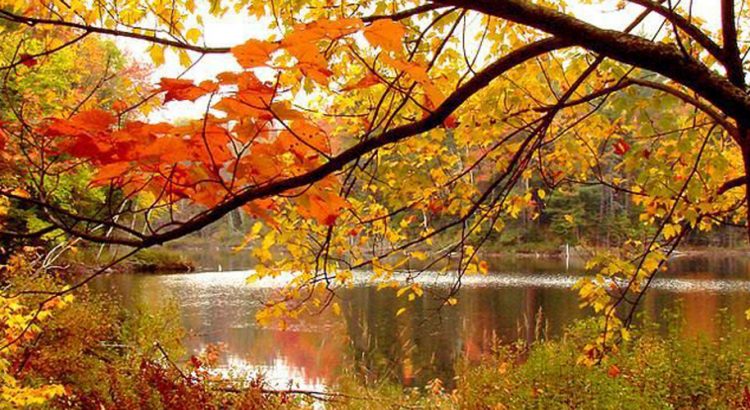 Моите първи стихотворения в детската градина by Tanya Dimitrova - Ourboox.com