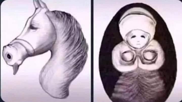 عزيزتي الطالبة تاملي الصورة المرفقة