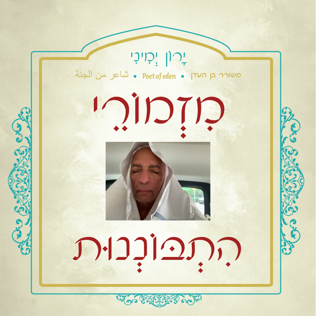 מזמורי התבוננות